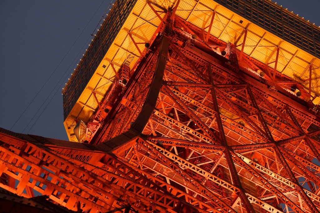 The tower of Tokyo