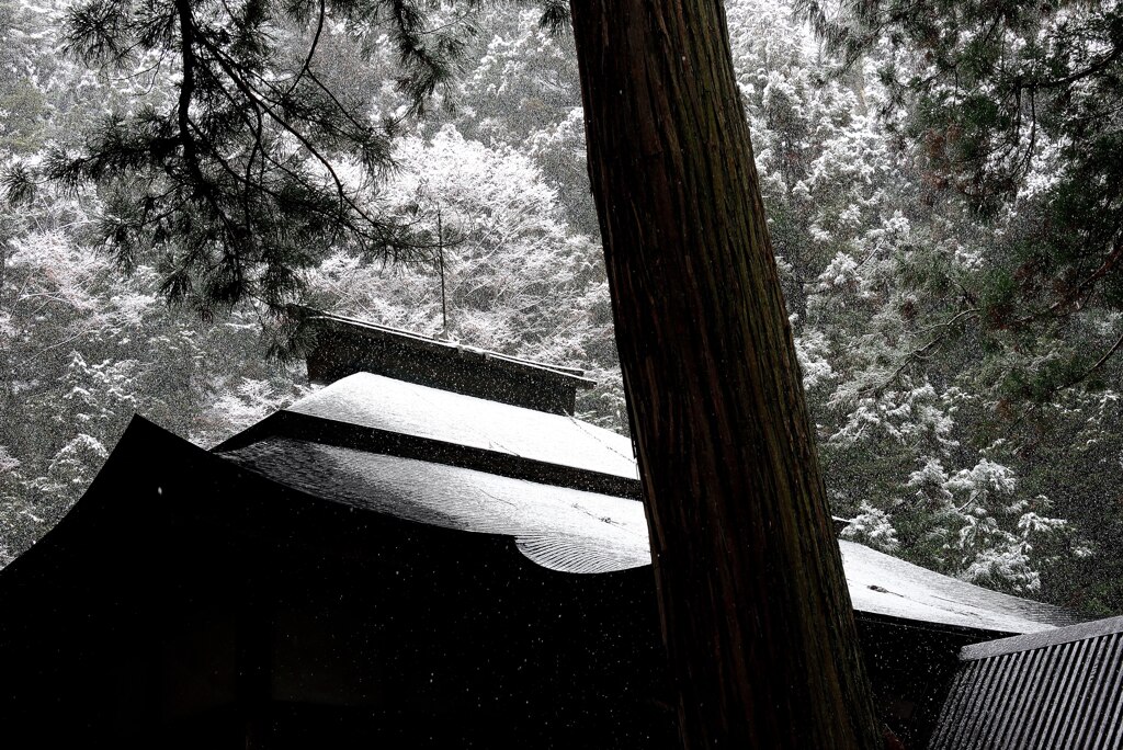 雪の神社