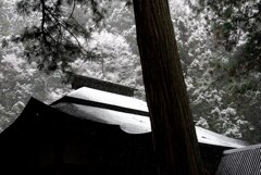雪の神社