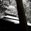 雪の神社