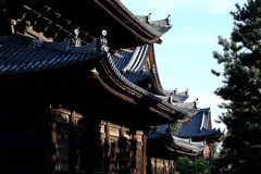 巨大伽藍の連なり