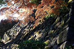 城の石垣と紅葉