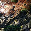 城の石垣と紅葉