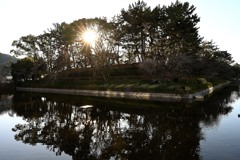 お堀の向こうから