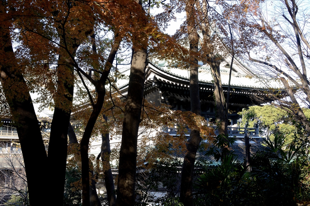 晩秋総持寺