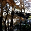 晩秋総持寺