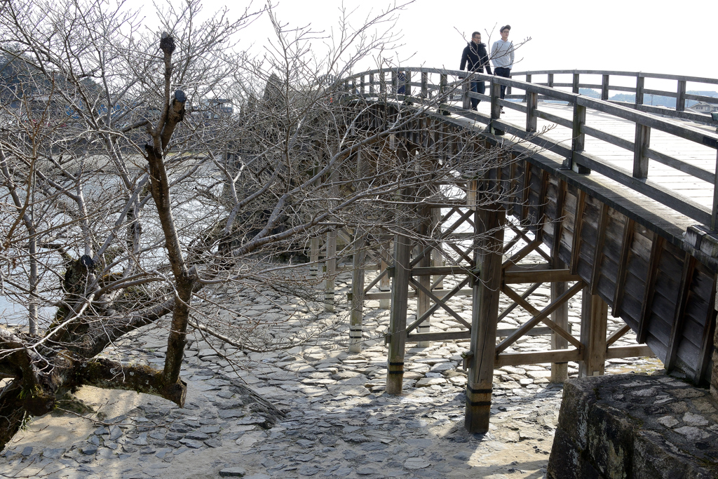 冬の錦帯橋