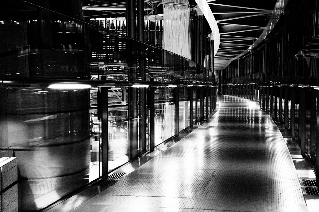 Reflected Monochrome