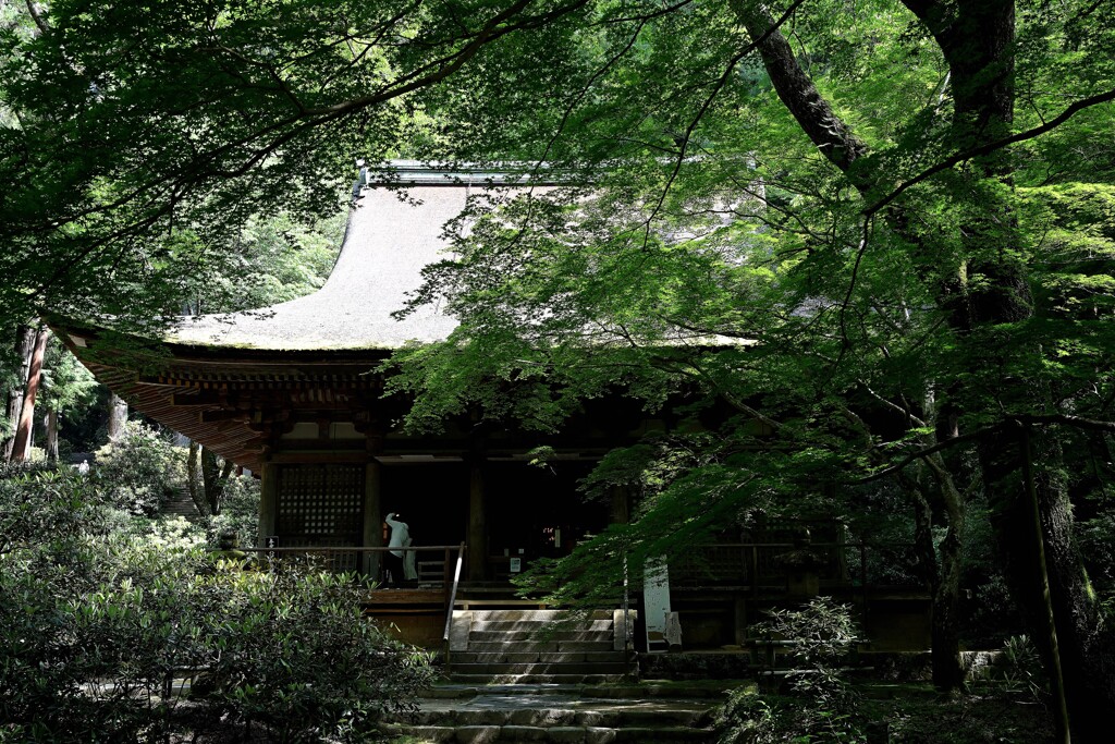 室生寺本堂