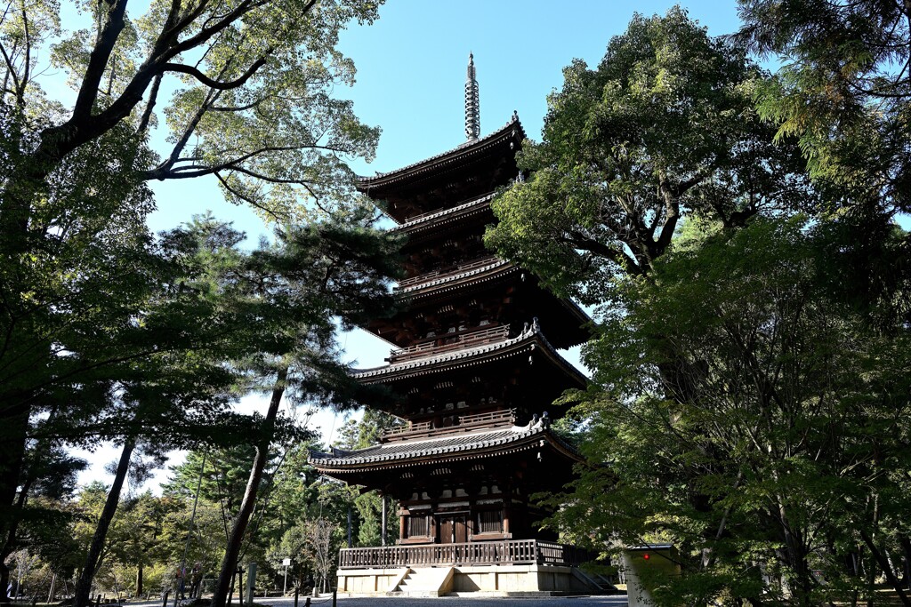 仁和寺五重塔