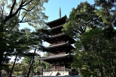 仁和寺五重塔