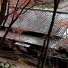 葉落ち冬へ
