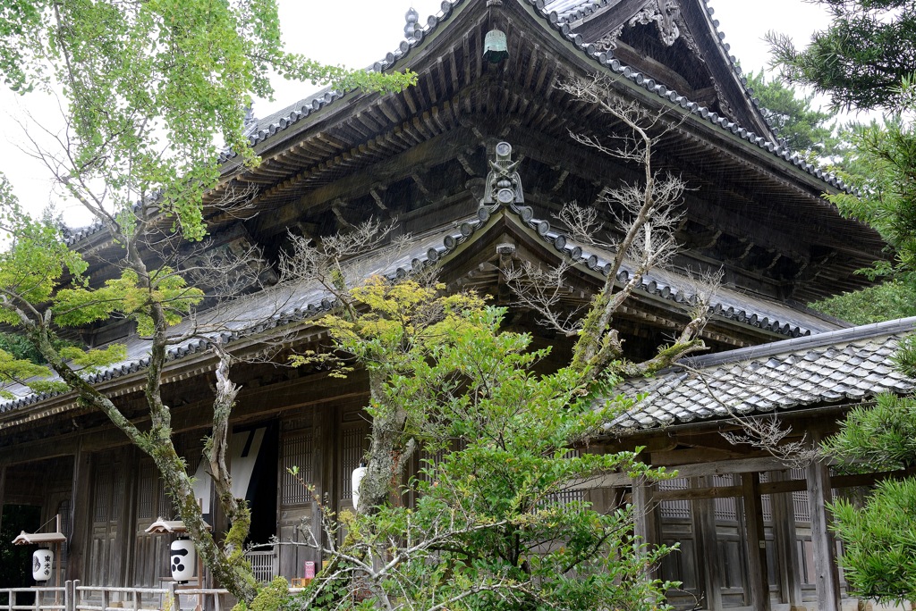 萩東光寺夏