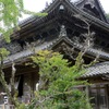 萩東光寺夏