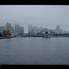 横浜をおさめた