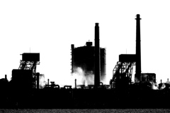 The Plant