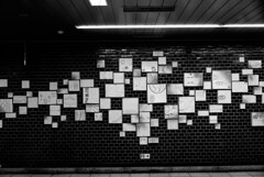 MOSAIC