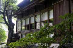 雨の兼六園三芳庵