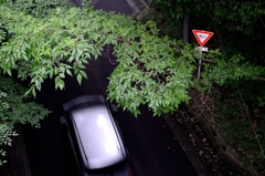 徐行道