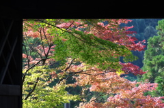 山門くぐり紅葉