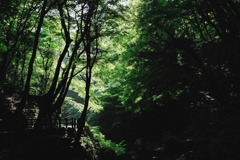 渓谷への光