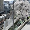 桜が見送る駅