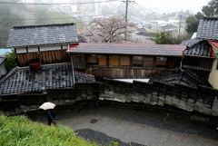 路地と桜と雨