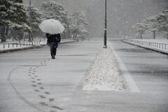 雪が降った日