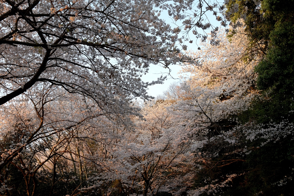 当たり始める朝日
