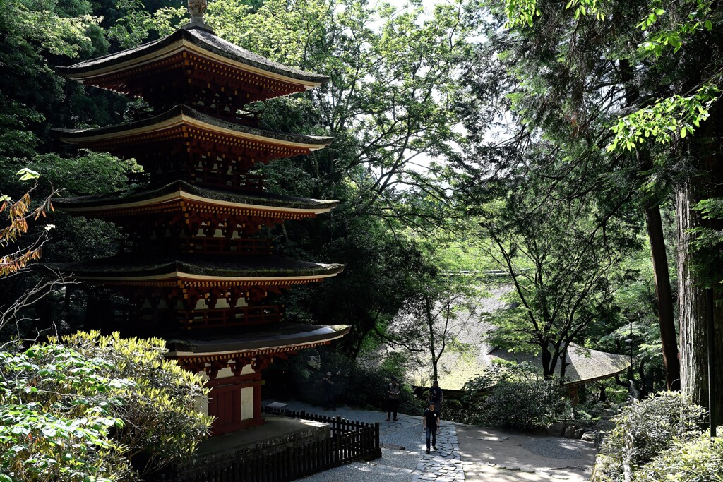室生寺五重塔と