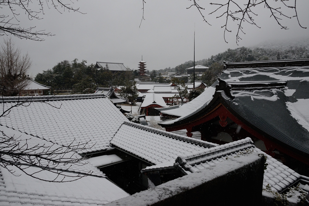 塔が見える冬景色