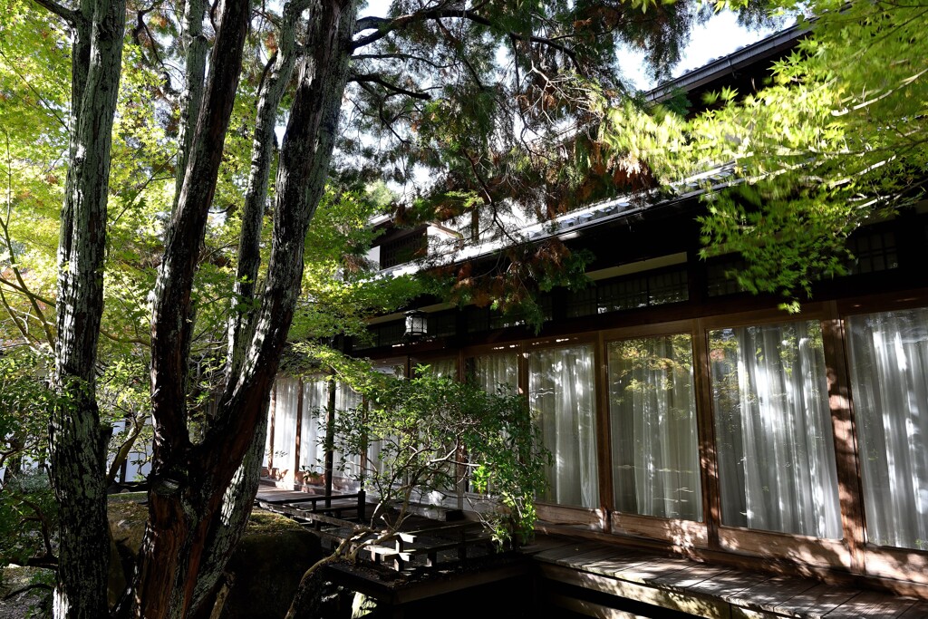 吉城園にて