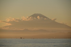 江の島より