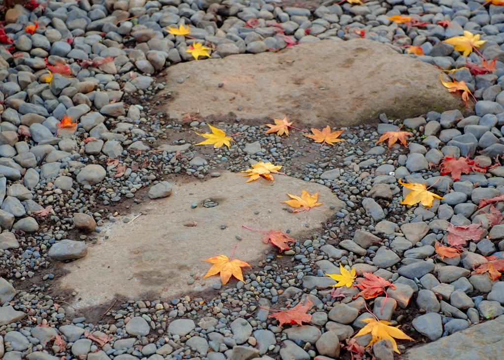 落葉と石畳