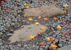 落葉と石畳