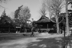 DSCF1698