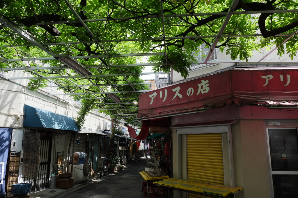アリスの店
