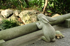 ウサギとカメ