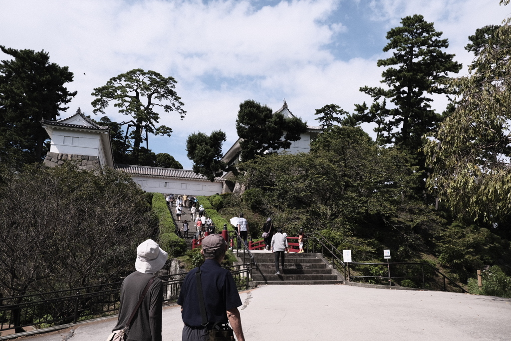 さて、どこから攻めますか