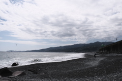海