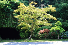 鎌倉にて3