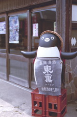 試し撮り