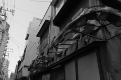 DSCF1704