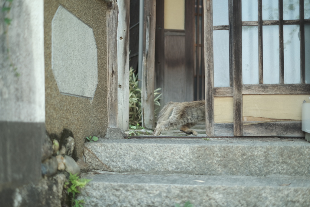 逃げられた