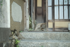 逃げられた