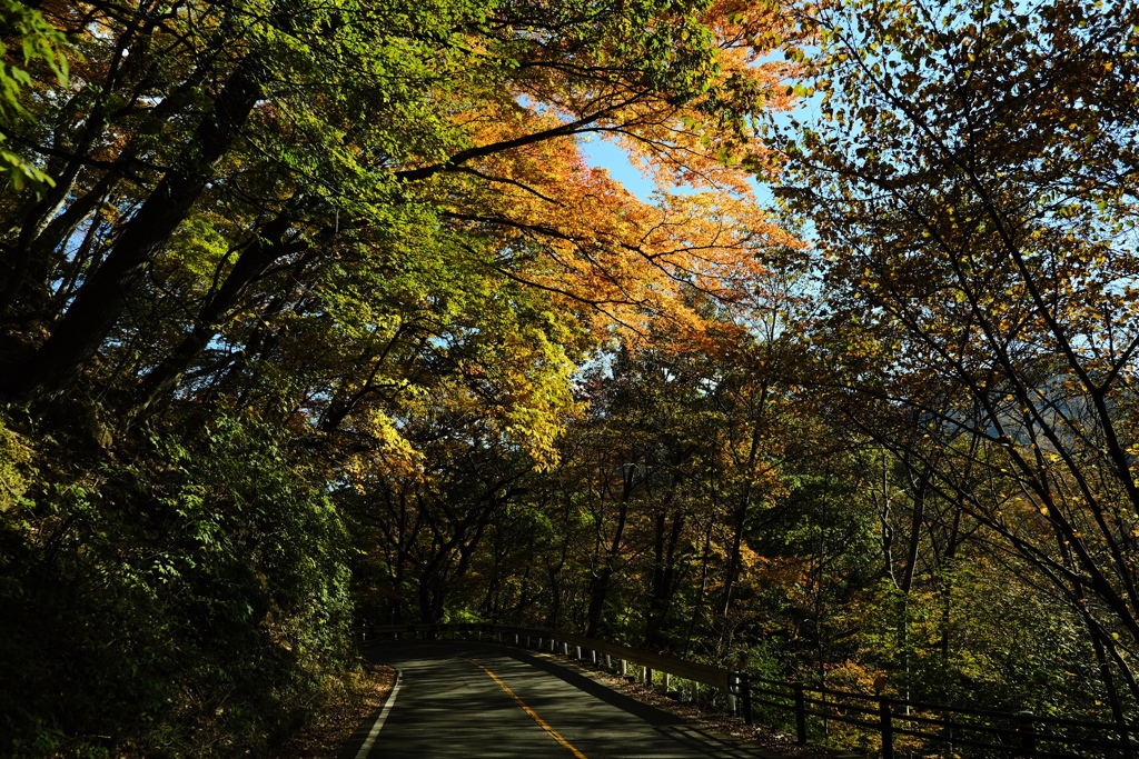 碓氷峠