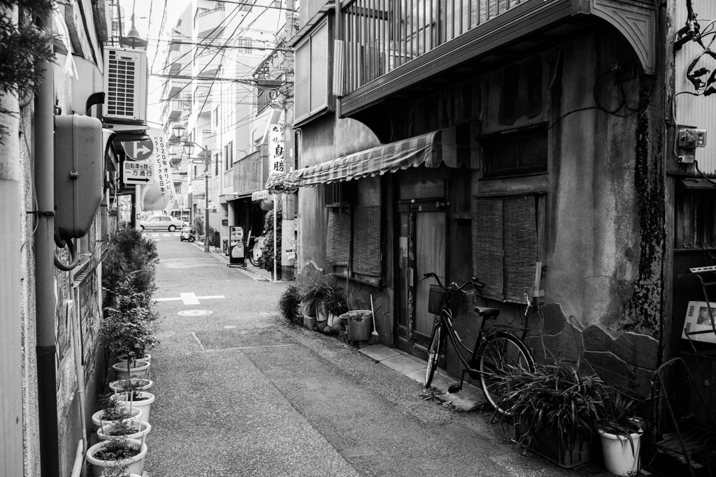 路地