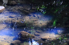静水