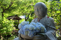 ほほえみ