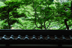 木と瓦